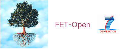 fet-open logo